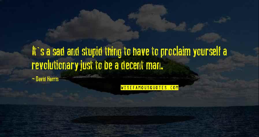 A Sad Man Quotes By David Harris: It's a sad and stupid thing to have