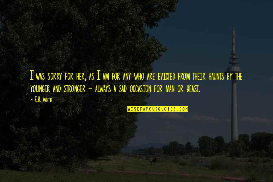 A Sad Man Quotes By E.B. White: I was sorry for her, as I am A Sad Man Quotes By E.B. White: I was sorry for her, as I am