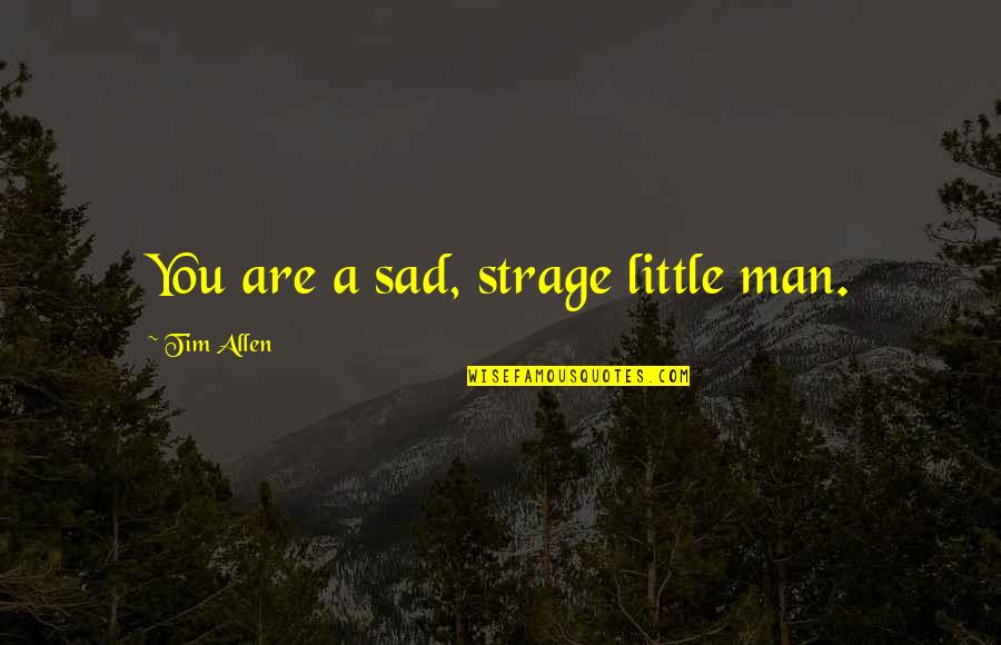 A Sad Man Quotes By Tim Allen: You are a sad, strage little man. A Sad Man Quotes By Tim Allen: You are a sad, strage little man.