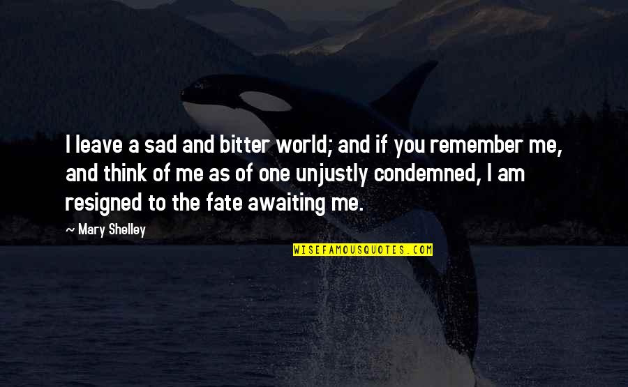 A Sad World Quotes By Mary Shelley: I leave a sad and bitter world; and