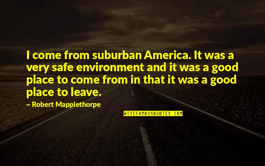A Safe Environment Quotes By Robert Mapplethorpe: I come from suburban America. It was a