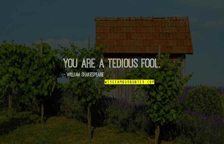 A Sassy Quotes By William Shakespeare: You are a tedious fool. A Sassy Quotes By William Shakespeare: You are a tedious fool.