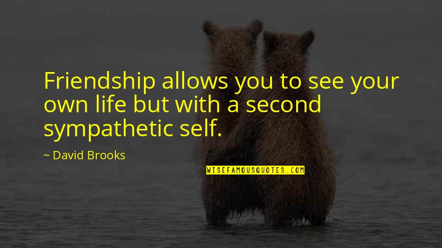 A Second Life Quotes By David Brooks: Friendship allows you to see your own life