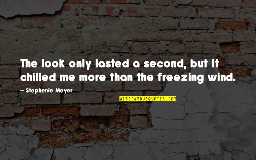A Second Wind Quotes By Stephenie Meyer: The look only lasted a second, but it