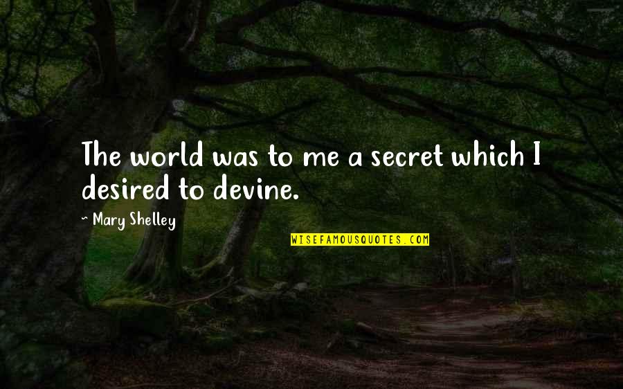 A Secret World Quotes By Mary Shelley: The world was to me a secret which A Secret World Quotes By Mary Shelley: The world was to me a secret which