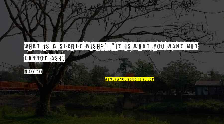 A Secret You Quotes By Amy Tan: What is a secret wish?" "It is what