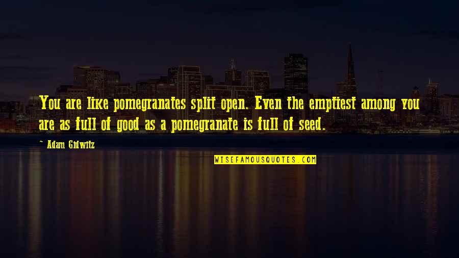 A Seed Quotes By Adam Gidwitz: You are like pomegranates split open. Even the
