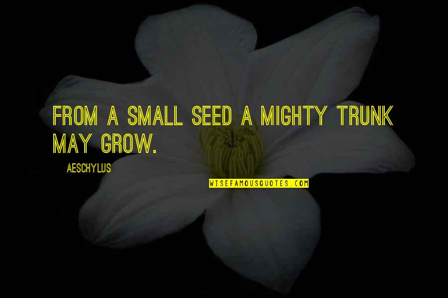 A Seed Quotes By Aeschylus: From a small seed a mighty trunk may