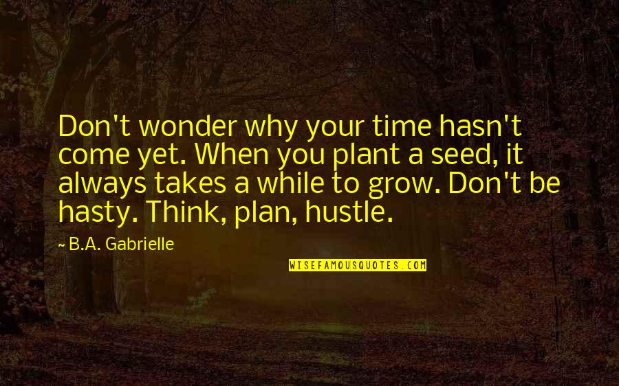 A Seed Quotes By B.A. Gabrielle: Don't wonder why your time hasn't come yet.