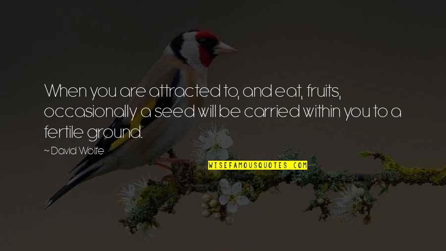 A Seed Quotes By David Wolfe: When you are attracted to, and eat, fruits,