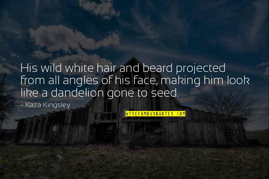 A Seed Quotes By Kaza Kingsley: His wild white hair and beard projected from