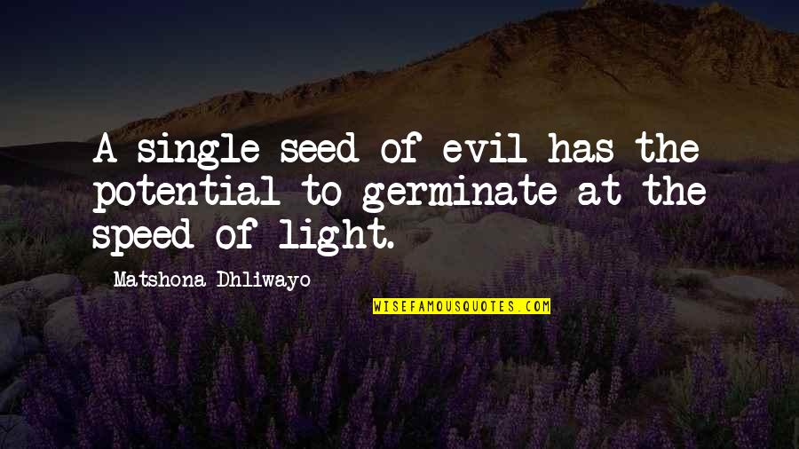A Seed Quotes By Matshona Dhliwayo: A single seed of evil has the potential