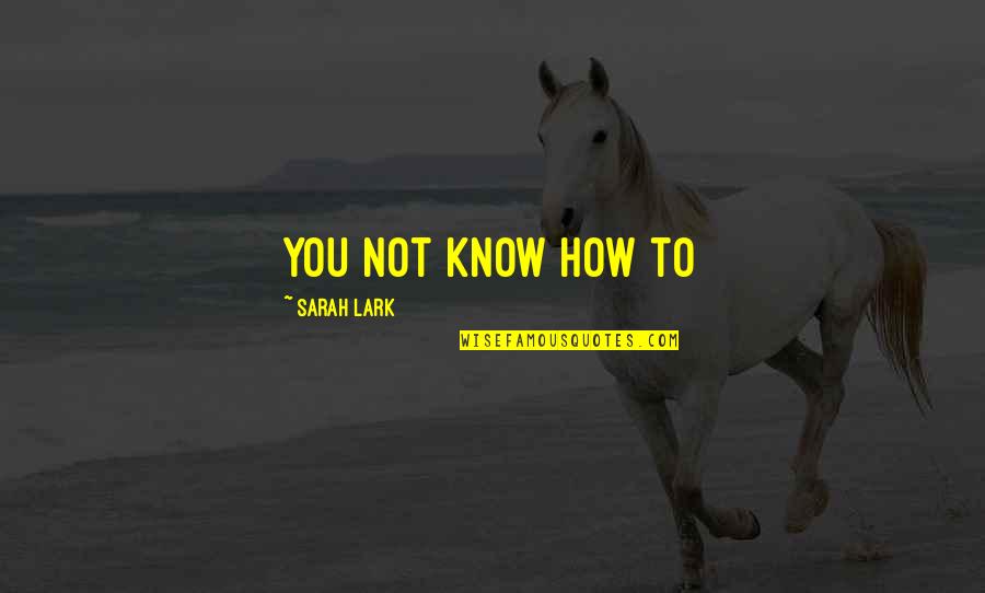 A Series Of Twists And Turns Quotes By Sarah Lark: You not know how to A Series Of Twists And Turns Quotes By Sarah Lark: You not know how to
