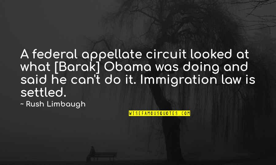 A Settled Quotes By Rush Limbaugh: A federal appellate circuit looked at what [Barak]