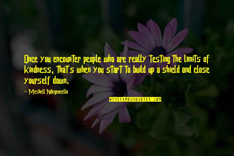 A Shield Quotes By Meshell Ndegeocello: Once you encounter people who are really testing