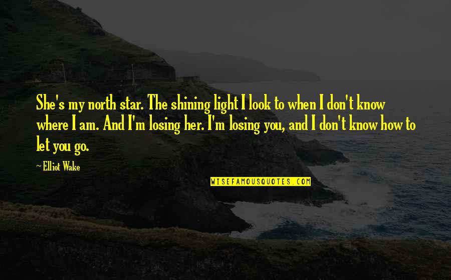 A Shining Star Quotes By Elliot Wake: She's my north star. The shining light I