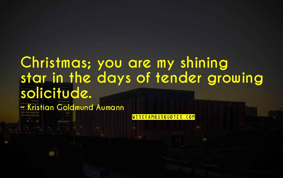 A Shining Star Quotes By Kristian Goldmund Aumann: Christmas; you are my shining star in the