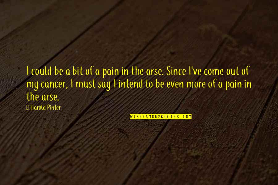 A Silent Tear Quotes By Harold Pinter: I could be a bit of a pain