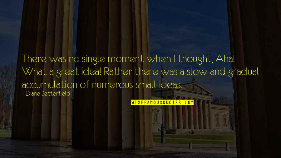 A Single Mom Quotes By Diane Setterfield: There was no single moment when I thought,