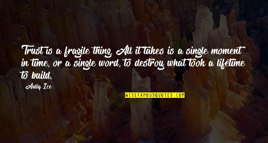 A Single Moment Quotes By Auliq Ice: Trust is a fragile thing. All it takes