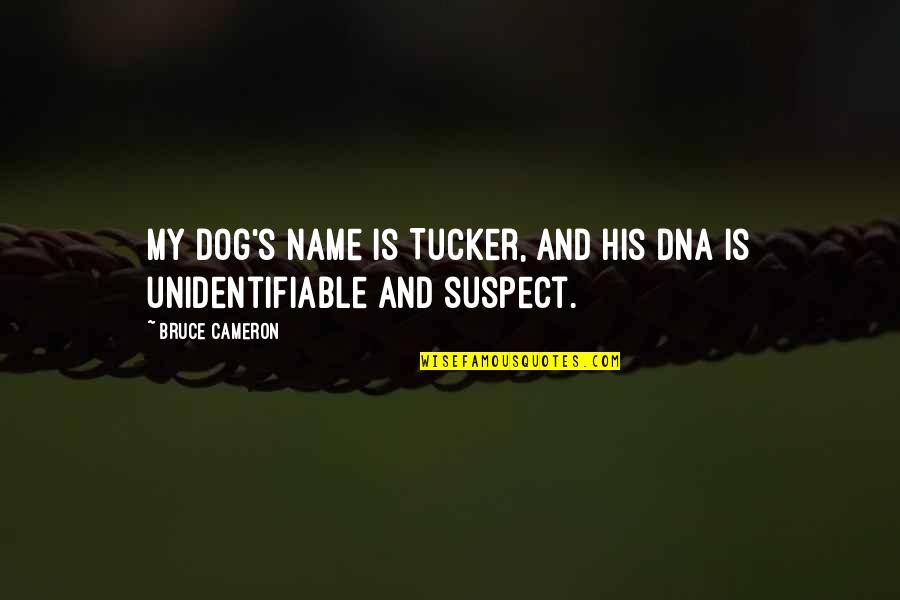 A Single Mother And Her Son Quotes By Bruce Cameron: My dog's name is Tucker, and his DNA