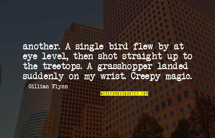 A Single Shot Quotes By Gillian Flynn: another. A single bird flew by at eye