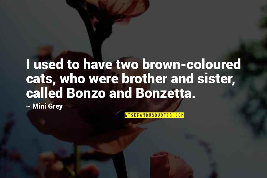 A Sister From A Brother Quotes By Mini Grey: I used to have two brown-coloured cats, who