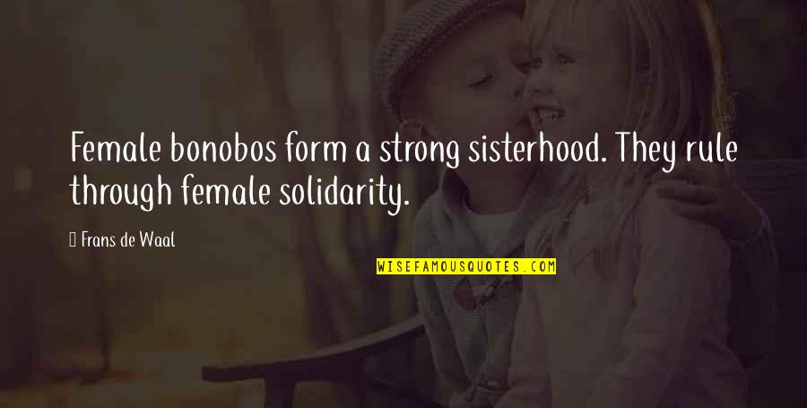 A Sisterhood Quotes By Frans De Waal: Female bonobos form a strong sisterhood. They rule A Sisterhood Quotes By Frans De Waal: Female bonobos form a strong sisterhood. They rule