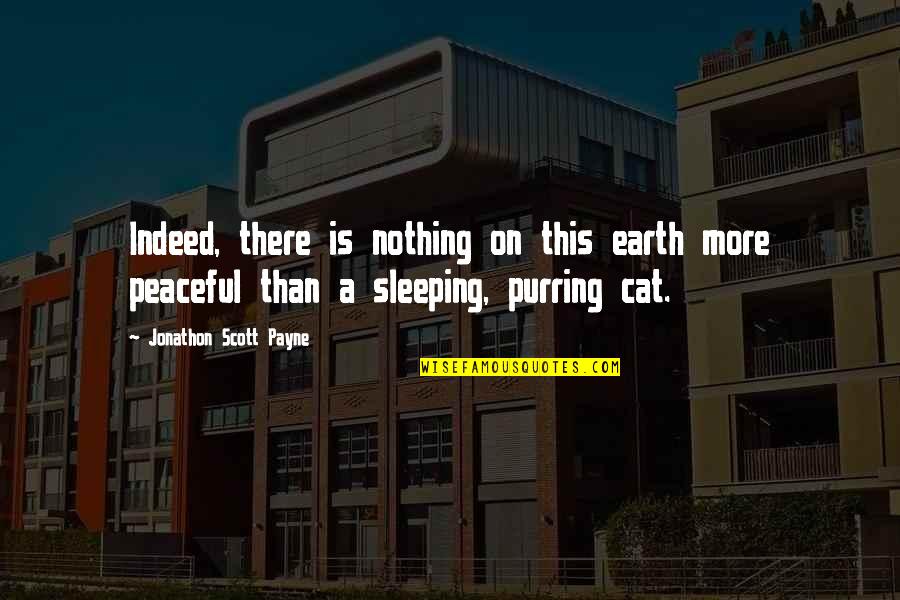 A Sleeping Cat Quotes By Jonathon Scott Payne: Indeed, there is nothing on this earth more