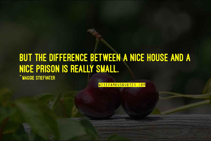 A Small House Quotes By Maggie Stiefvater: But the difference between a nice house and