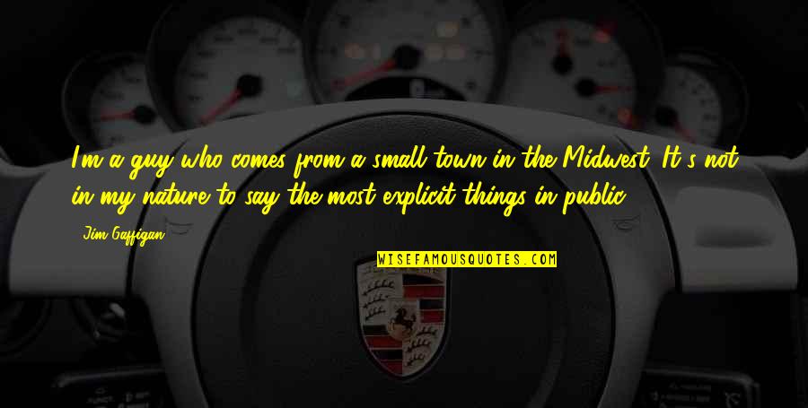 A Small Town Quotes By Jim Gaffigan: I'm a guy who comes from a small