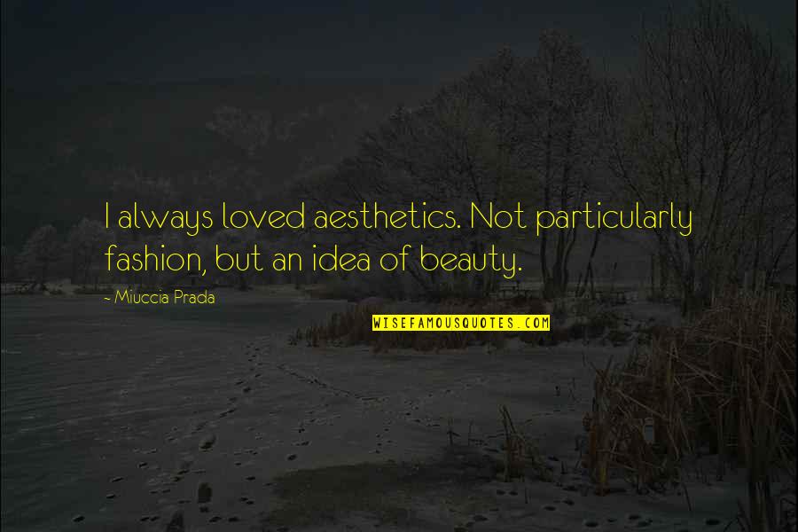 A Society Is Judged By Quotes By Miuccia Prada: I always loved aesthetics. Not particularly fashion, but
