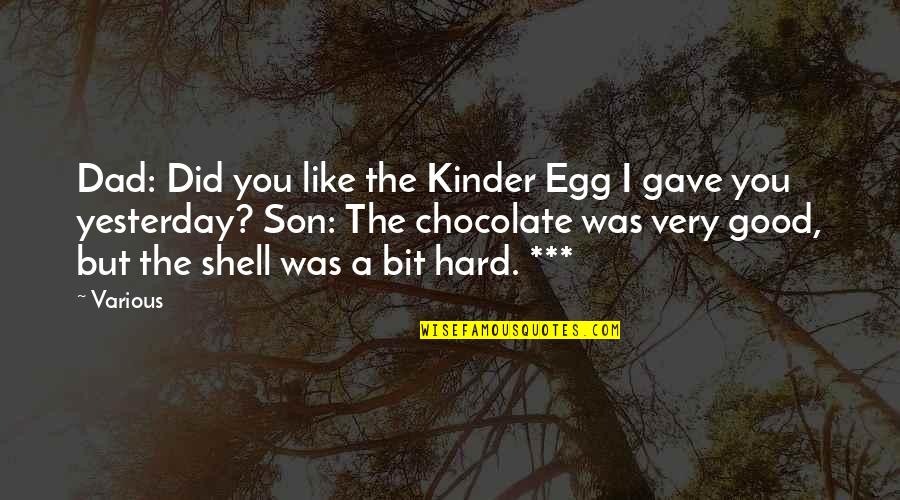 A Son And Dad Quotes By Various: Dad: Did you like the Kinder Egg I