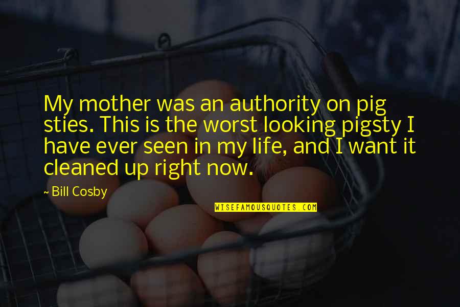 A Son And Mother Quotes By Bill Cosby: My mother was an authority on pig sties.