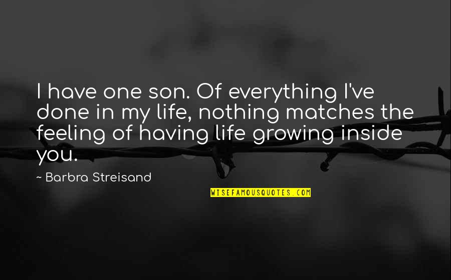 A Son Growing Up Quotes By Barbra Streisand: I have one son. Of everything I've done