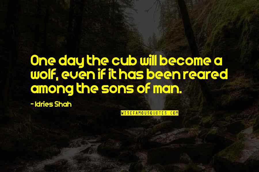 A Sons Quotes By Idries Shah: One day the cub will become a wolf,