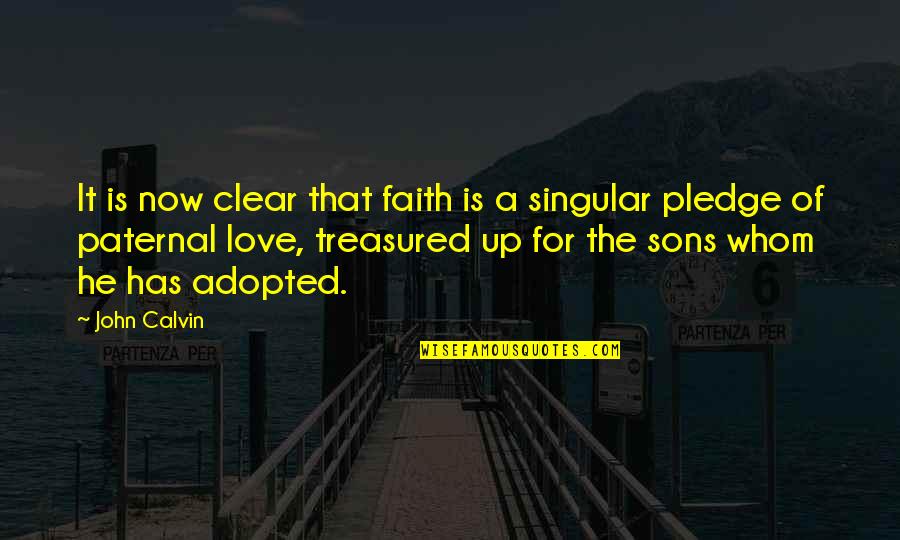 A Sons Quotes By John Calvin: It is now clear that faith is a