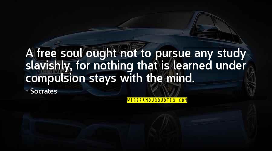 A Soul For A Soul Quotes By Socrates: A free soul ought not to pursue any A Soul For A Soul Quotes By Socrates: A free soul ought not to pursue any