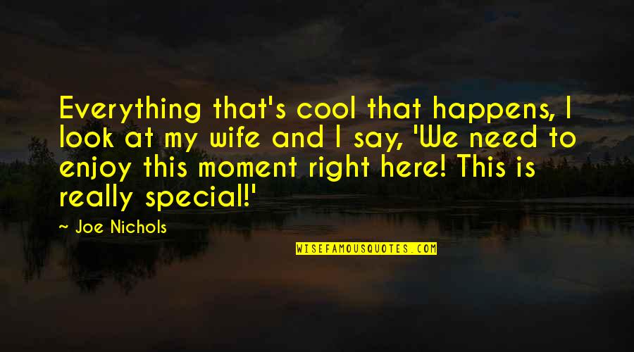A Special Moment Quotes By Joe Nichols: Everything that's cool that happens, I look at
