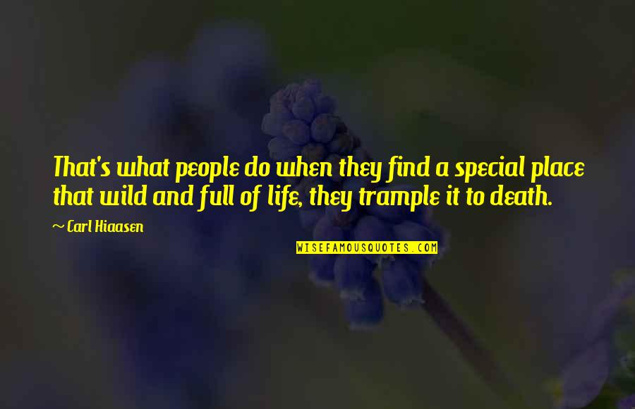 A Special Place Quotes By Carl Hiaasen: That's what people do when they find a