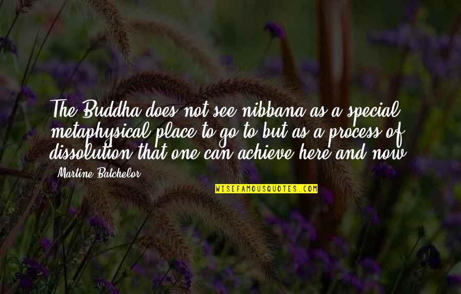 A Special Place Quotes By Martine Batchelor: The Buddha does not see nibbana as a