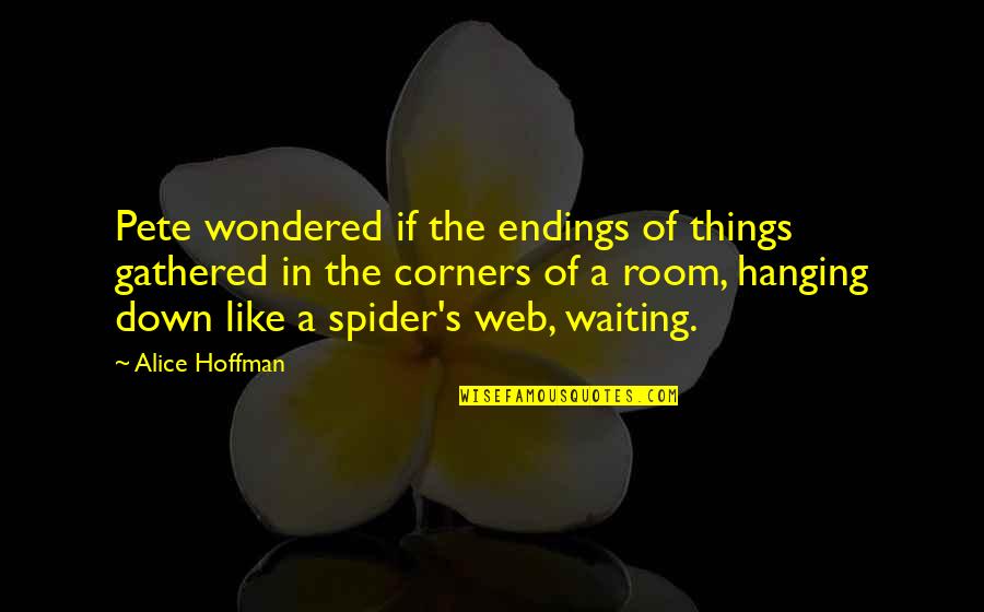 A Spider Web Quotes By Alice Hoffman: Pete wondered if the endings of things gathered
