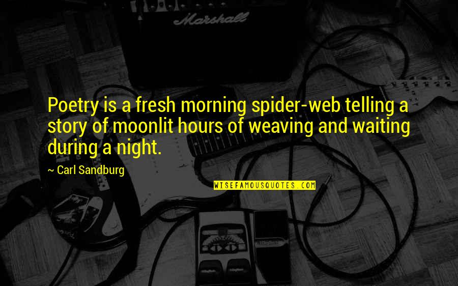 A Spider Web Quotes By Carl Sandburg: Poetry is a fresh morning spider-web telling a