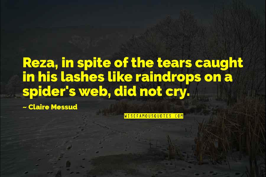 A Spider Web Quotes By Claire Messud: Reza, in spite of the tears caught in