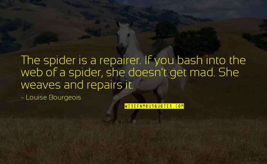 A Spider Web Quotes By Louise Bourgeois: The spider is a repairer. If you bash