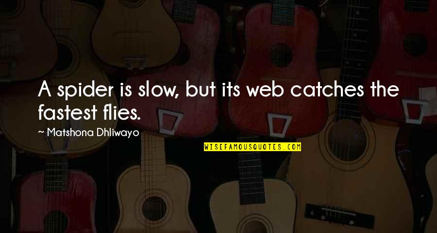 A Spider Web Quotes By Matshona Dhliwayo: A spider is slow, but its web catches