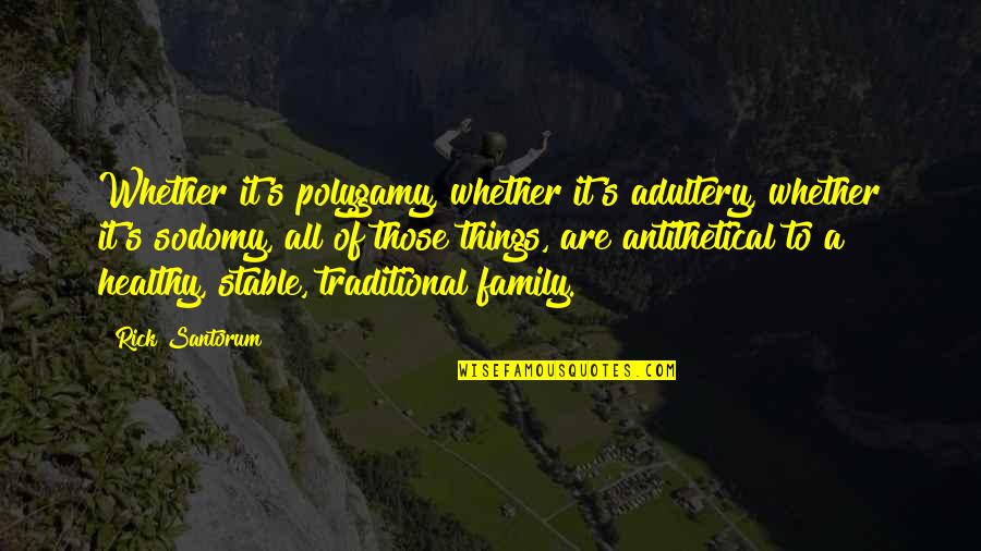 A Stable Family Quotes By Rick Santorum: Whether it's polygamy, whether it's adultery, whether it's