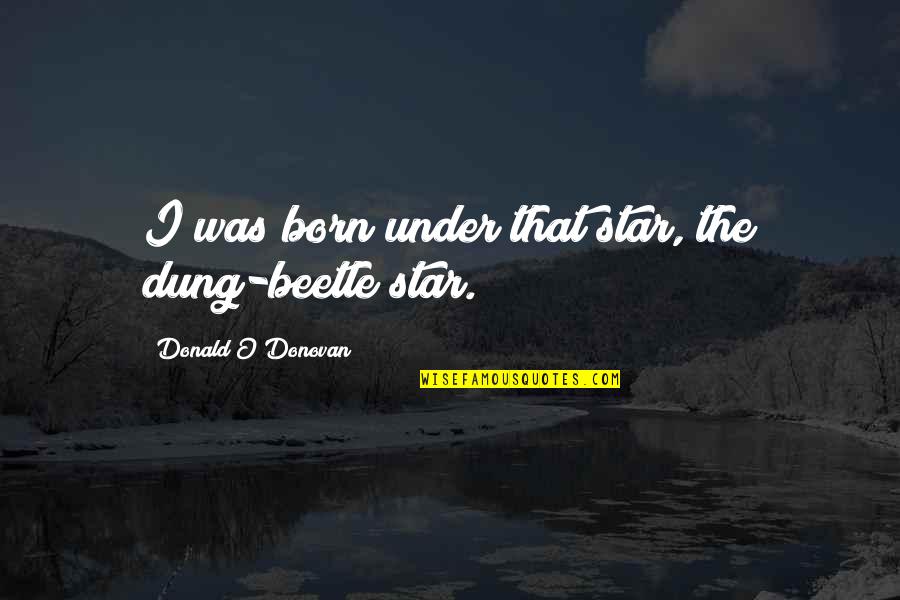 A Star Was Born Quotes By Donald O'Donovan: I was born under that star, the dung-beetle