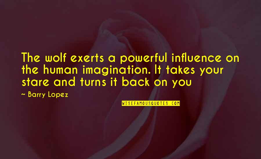 A Stare Quotes By Barry Lopez: The wolf exerts a powerful influence on the