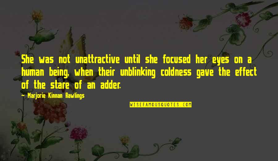 A Stare Quotes By Marjorie Kinnan Rawlings: She was not unattractive until she focused her